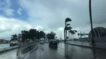 أتربة ورذاذ خفيف.. تقرير الأرصاد يكشف تفاصيل حالة الطقس المتوقعة غدًا الأحد